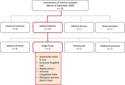 Medicinal Plants in COVID-19: Potential and Limitations